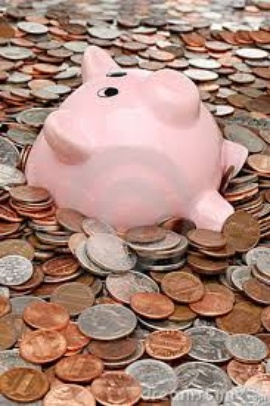 Piggy Bank Coins